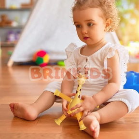 Girafas Divertidas – Gira e Estica | Brinquedo Interativo Infantil - Pague 2 Leve 4